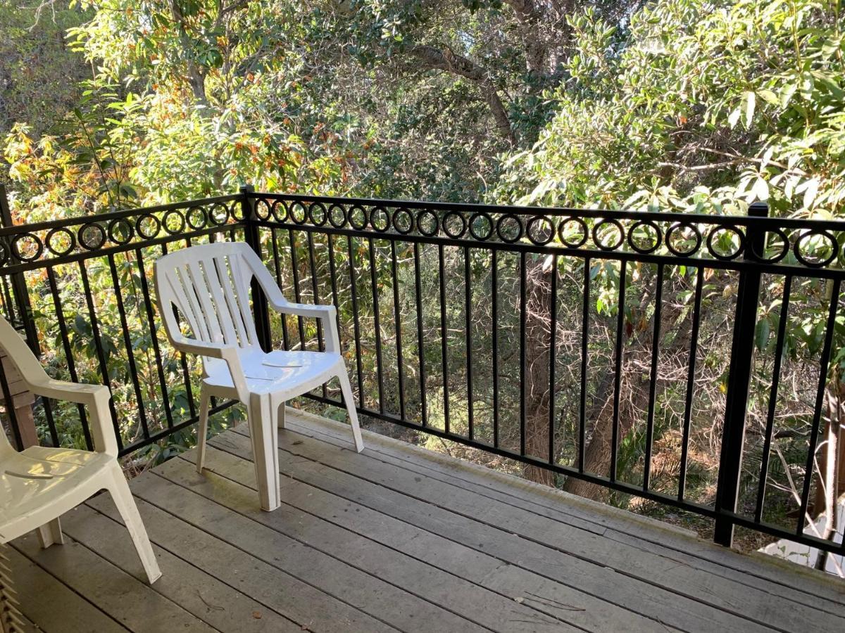 Olive Tree Inn & Suites Σαν Λούις Ομπίσπο Εξωτερικό φωτογραφία